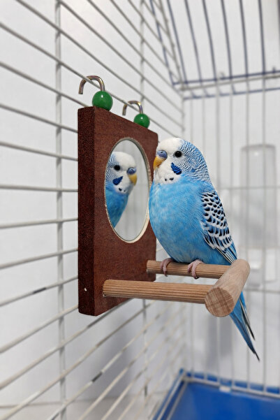 Wooden Bird مرآة حائط جانبية لقفص الببغاء (لون بني)