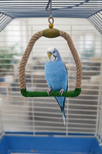 Wooden Bird أرجوحة موهابيت جوت بحبل (أخضر)