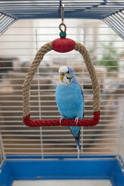 Wooden Bird أرجوحة موهابيت جوت بحبل (أحمر)