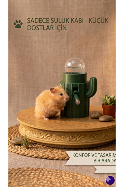 goldentre Kaktüs Tasarım Hamster Suluk kabı