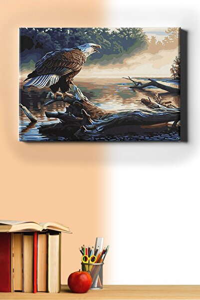 Sayılarla Boyama Seti Kasnaklı Kartal Bakışı 60 X 75 Cm