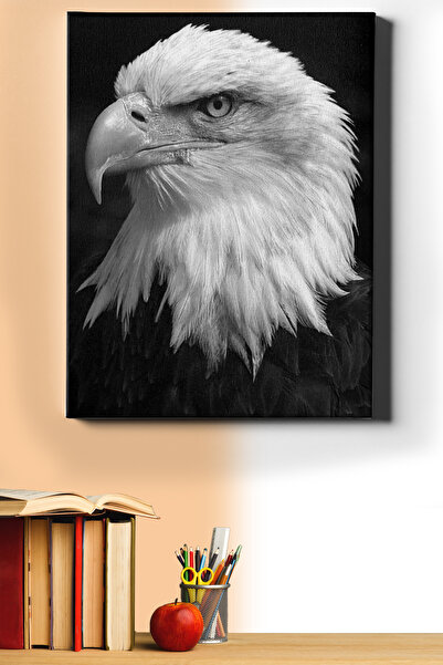 WebStyle Sayılarla Boyama Seti Kasnaklı Beyaz Kartal 40 X 50 Cm