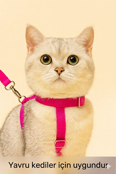 Ayarlanabilir Kedi Tasması 120 Cm 1 Adet Hediyeli