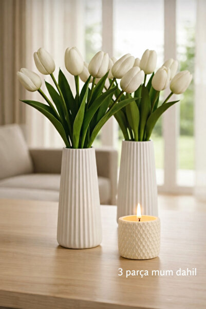 millonu مزهريتان أنيقتان من السيراميك الأبيض المخطط من ليمودرن للزينة - تصميم...