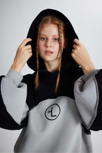 HOLLY LOLLY cu căptușeală din fleece Hanorac Revenge cu glugă din țesătură cu...