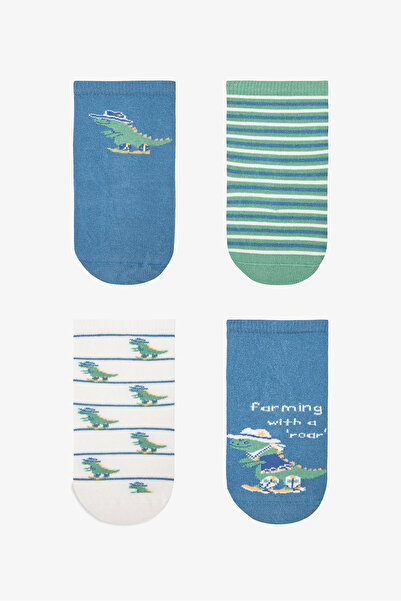 Penti Boy's Dino Farm Dinosaur Patterned 4-Piece Sock Set