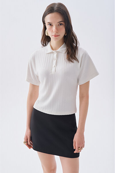 Mudo Fitted Striped Polo Collar Short Sleeve Sweater