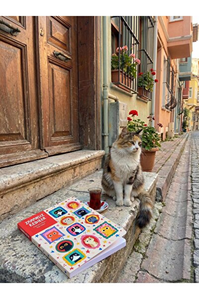 Thinkbook Agenda atemporală, Cadru pisică Agenda