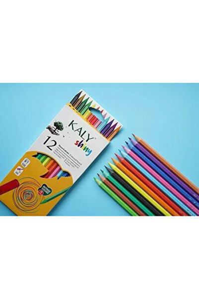 Silka Kaly 12 Renk Tam Boy Kuru Boya Seti