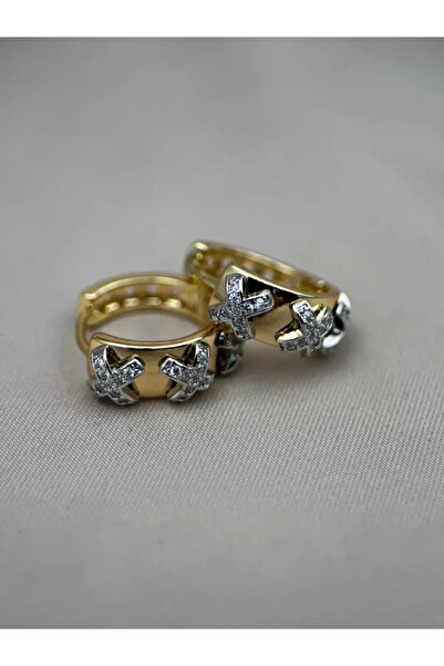 Luseda Zircon Stone X Detailed Gold Steel Earrings