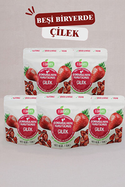 Fair Dry Beşibiryerde Çilek, Freeze Dried, Dondurularak Kurutulmuş, Meyve Kurusu