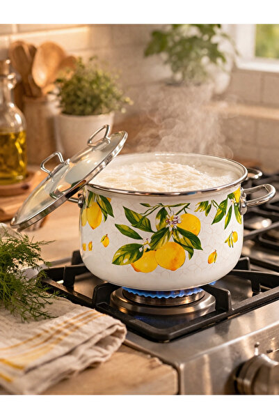 EBRULİEMAYE وعاء طهي مطلي بالليمون سعة 5 لتر بقطر 24 سم لطهي الحليب والزبادي ...