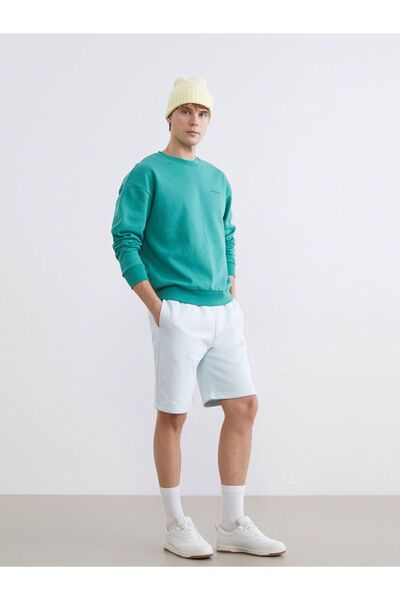 LC Waikiki Standard Fit Men's Shorts