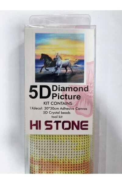 Hobiline Hı Stone 5d Elmas Boncuk Taş Işleme Mozaik Goblen Kit 30x30cm KOŞAN ...