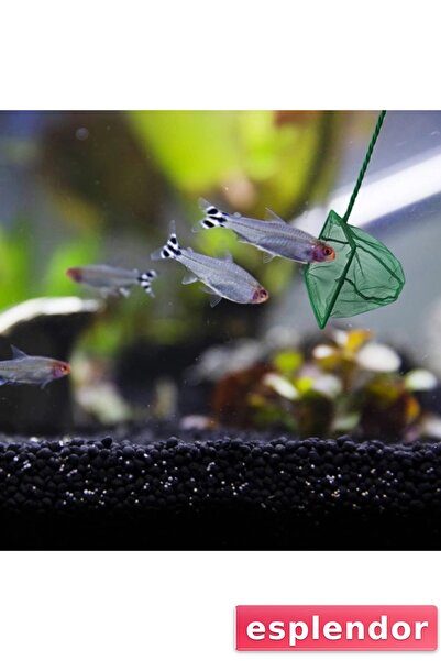 esplendor مغرفة أسماك الأكواريوم 12 سم.
