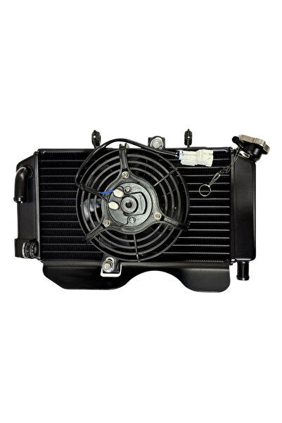 GMS CF Moto Nk 250 Radyatör Fan Komple Set Euro 5