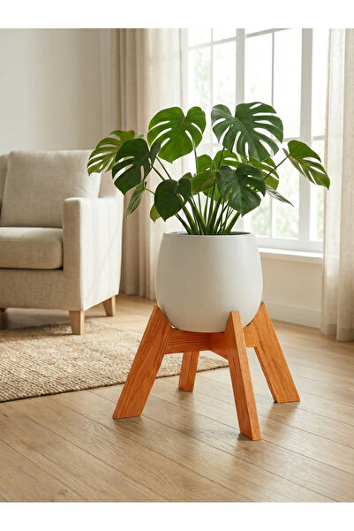 UĞRAŞ Dekoratif Ahşap Saksılık - Modern Dekoratif Bitki Saksı Altlığı 30 CM Ç...