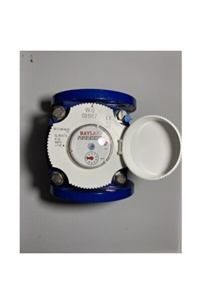 Baylan Rekorlu Tarımsal Su Sayacı 2 1/2"