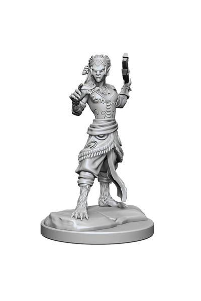 Wizkids Ντάντζενς & Ντράγκονς: Οι Υπέροχες Μινιατούρες του Νόλζουρ: Μαχητής Μ...