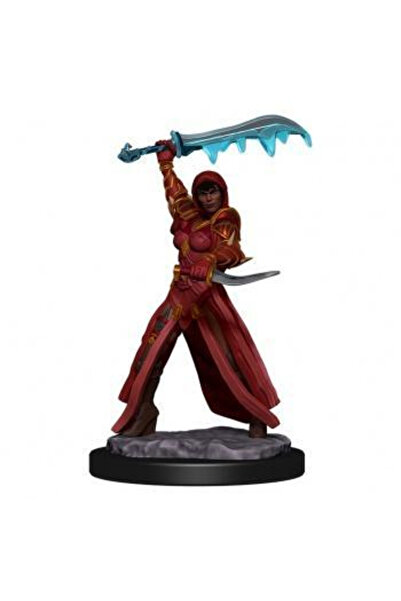 Wizkids Dungeons & Dragons Icons of the Realms Premium Figures: Human Rogue F...