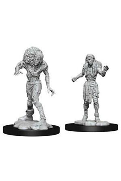 Wizkids Ντάντζεουνς & Ντράγκονς - Οι Υπέροχες Μινιατούρες του Νόλζουρ - Πλευσ...