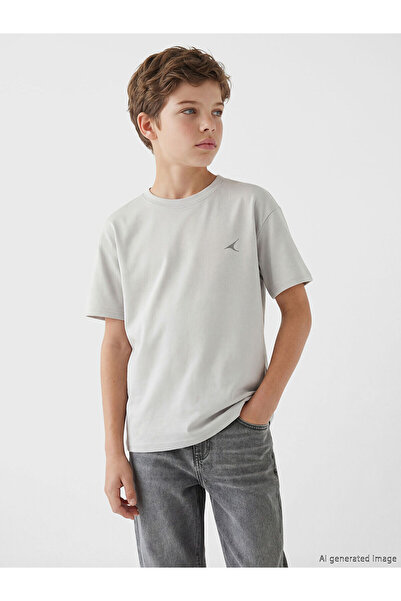 LC Waikiki Gray Printed Boy's T-Shirt