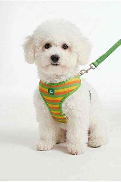 United Colors of Benetton BNT-A2507 طوق صدر للقطط والكلاب باللون الأخضر