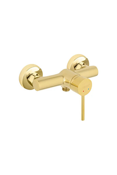 FERRO Baterie dus Fiesta auriu lucios monocomanda