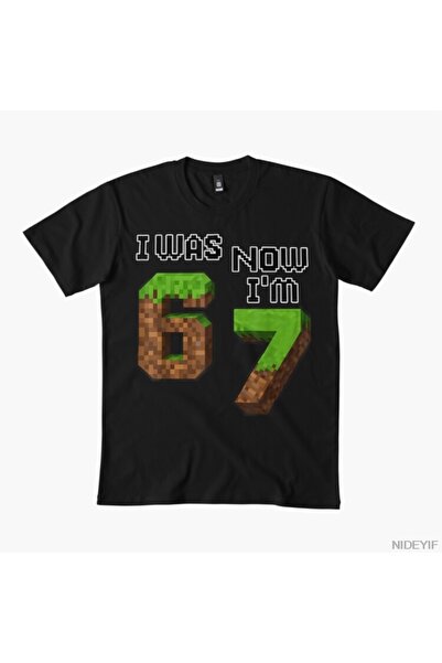 Flood Of Style Amuzant: Șase și șapte. Erau-mi 6 ani, acum suntem 7. Joc Pixe...