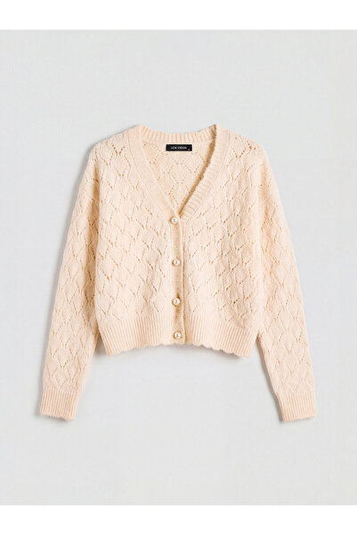 LC Waikiki Özmarka New Season V-Neck Openwork Women's Knitwear Cardigan