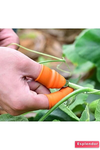 esplendor Πρακτικό Σετ Ανδρικών Ανδρικών Λαχανικών Κοπής Κόφτης Δακτύλων