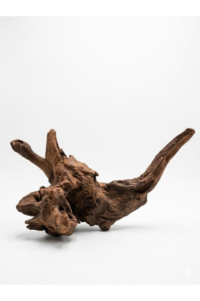 WODDY Mangrove Akvaryum Kökü