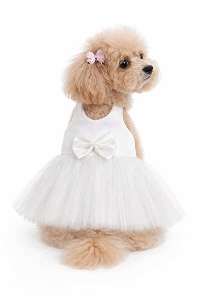 DUDAKTAN KALBE Küçük Irk GelinLik Köpek Elbisesi Köpek Kıyafeti (1-10KG)