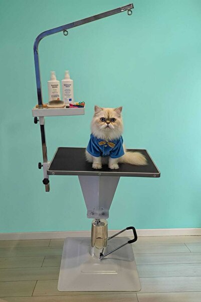 Kozmobed Dikdörtgen Hidrolikli Veteriner Pet Bakım Muayene ve Tıraş Masası