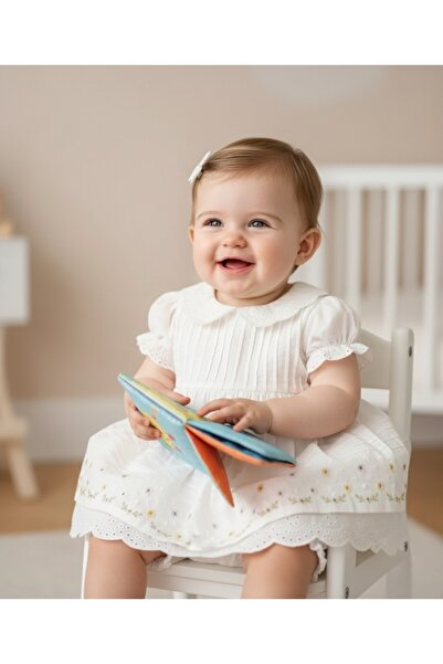 Moonstar Peter Pan collar Crispy Embroidered Dress