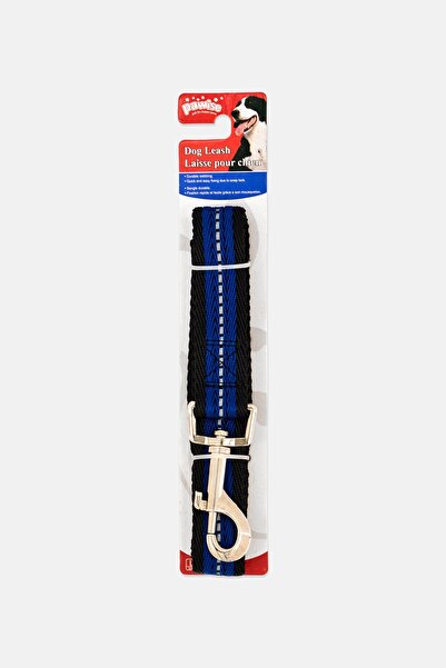 Pawise Dog Reflective Leash