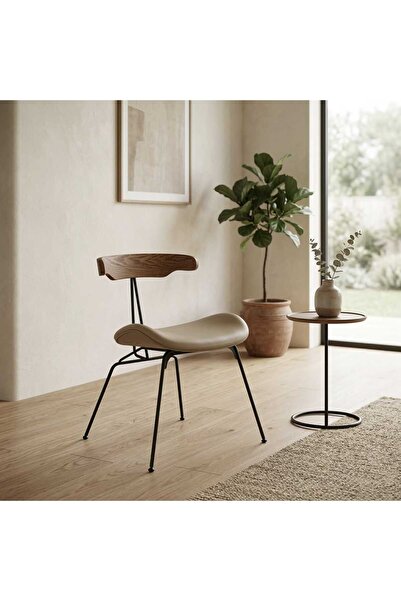 Arnohome كرسي جلوس عصري يدمج بين راحة المقعد المنجد ودفء مسند الظهر الخشبي ال...