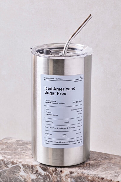 Perotti Steel 600 ml Stainless Steel Thermos Cup with Straw - XL Mug with Lea...