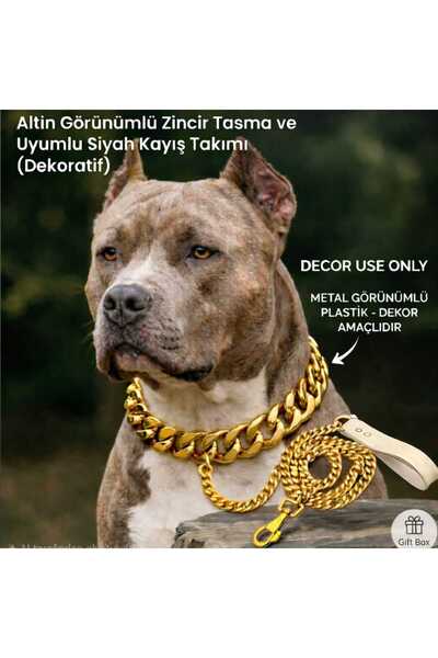 aurellen Gold Zincir Köpek Tasması ve Zincir Kayış - Dekoratif Plastik Zincir...