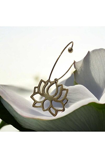 Meclore LOTUS ÇELİK KÜPE ZEYTİN AĞACI ADA KÜPESİ