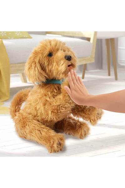 Empressco My Fuzzy Friends Sevimli Labrador Moji(Türkçe)18207 Lisanslı Ürün