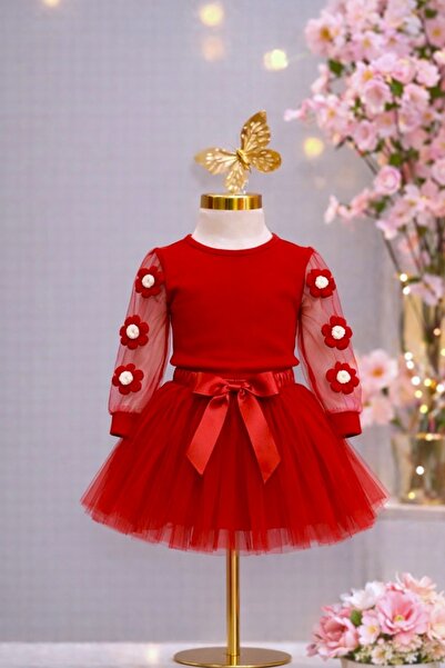 DeKuBaby Set bluză cu tul mâneci și fustă tutu, cu broderie Daisy și panglică...