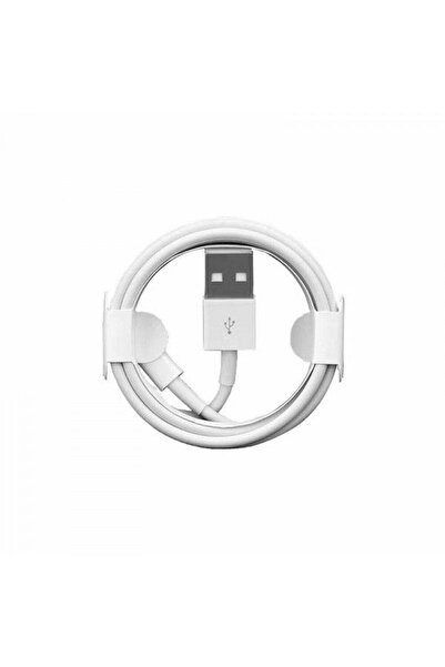 OEM Lightning Data and Charging Cable White