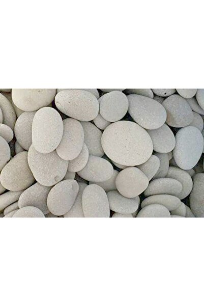 Empressco Taş Boyama Orta Boy 11 Adet 9 Yaş Üstü Çocuklar Için Zeka Geliştiri...