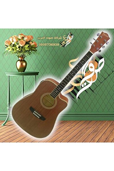 F4A Diver Electric Guitar