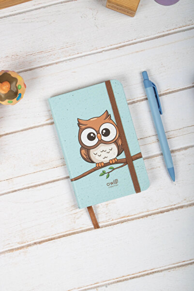 DİVAL 9X14 cm Hard Cover Striped Note School Notebooks - Owl 1