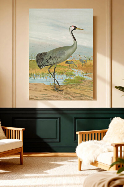 Mushen Studio Macara roșie (Sandhill Crane) Tablou vintage pe pânză, pictură ...