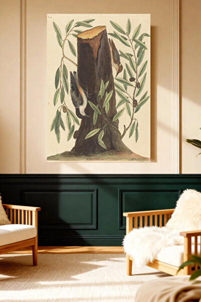 Mushen Studio Birds and Tree Illustration Natural Art Canvas Print