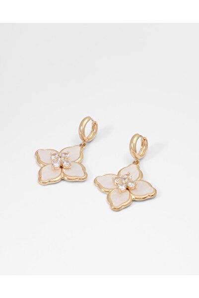 Aldo ملحقات / إكسسوارات