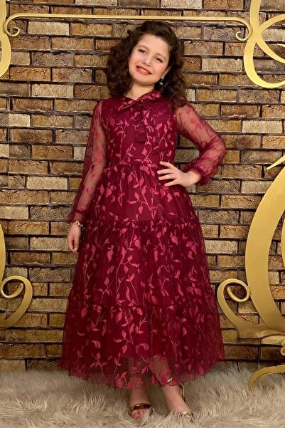Riccotarz Girl's Burgundy Dress with Transparent Sleeves and Collar, Tulle Pi...